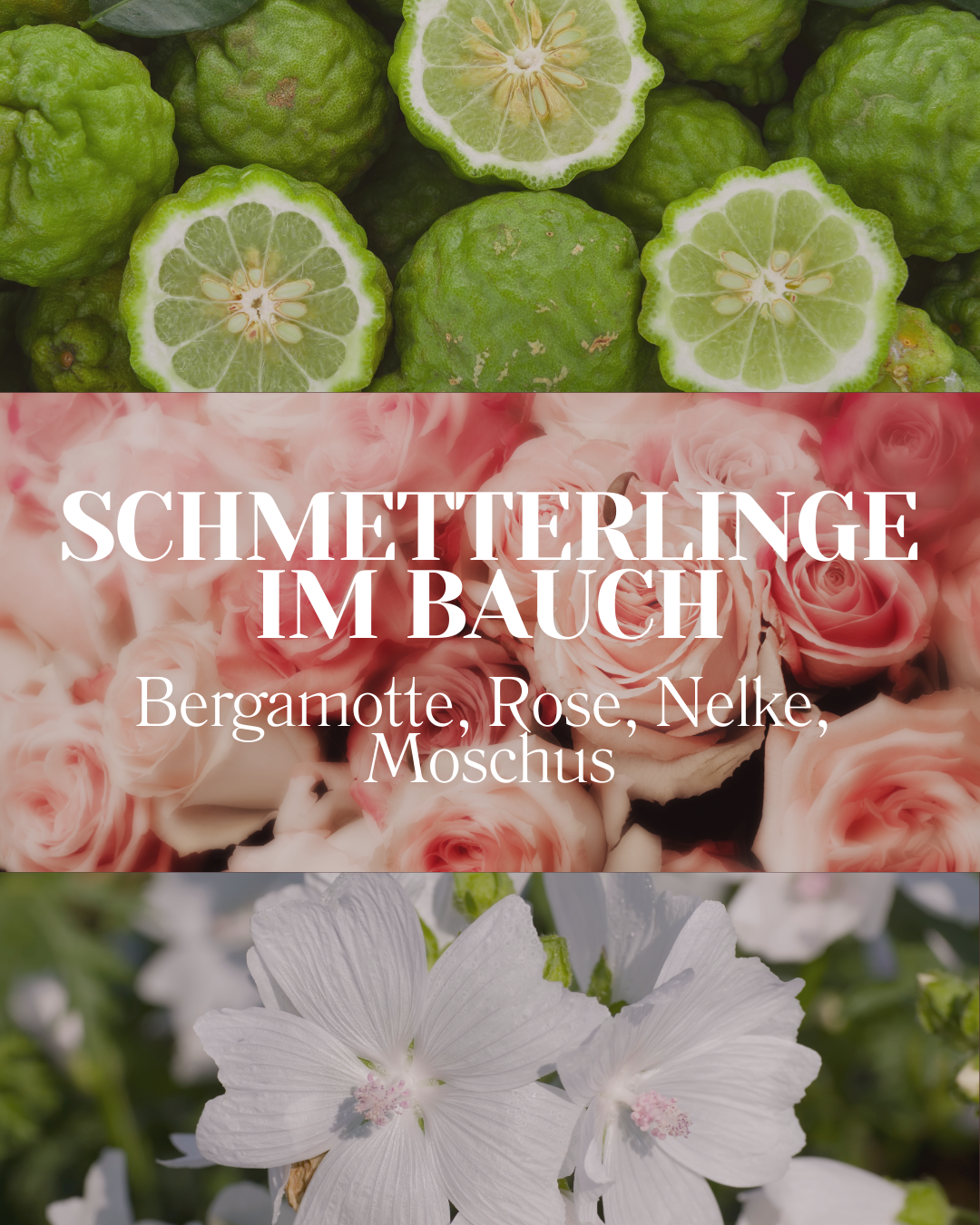 Duftwachs | Schmetterlinge vegan & low tox