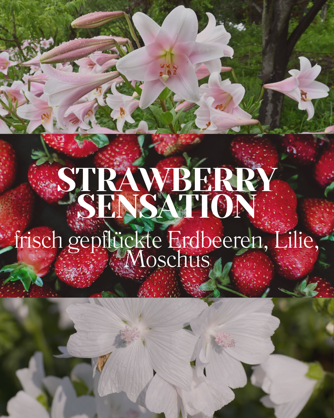 Erdbeer Duftkerze „Strawberry Sensation“ | Dessertkerze