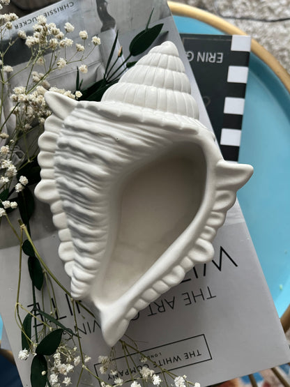 Dekorative Muschel-Schale in eleganter, organischer Form als stilvolles Wohnaccessoire für Badezimmer, Schminktisch oder Home Decor. Die minimalistische Deko-Schale im Küsten- und Coastal-Stil eignet sich ideal zur Aufbewahrung von Schmuck, Kerzen oder kleinen Accessoires und verleiht jedem Raum eine natürliche, moderne Atmosphäre.